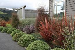 New Look Landscapes Dunedin, garden