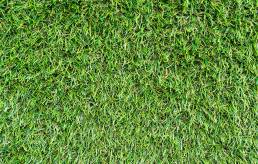Artificial Grass Dunedin